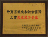 2004年被云南省工商聯合會授予“先進民營企業稱號”