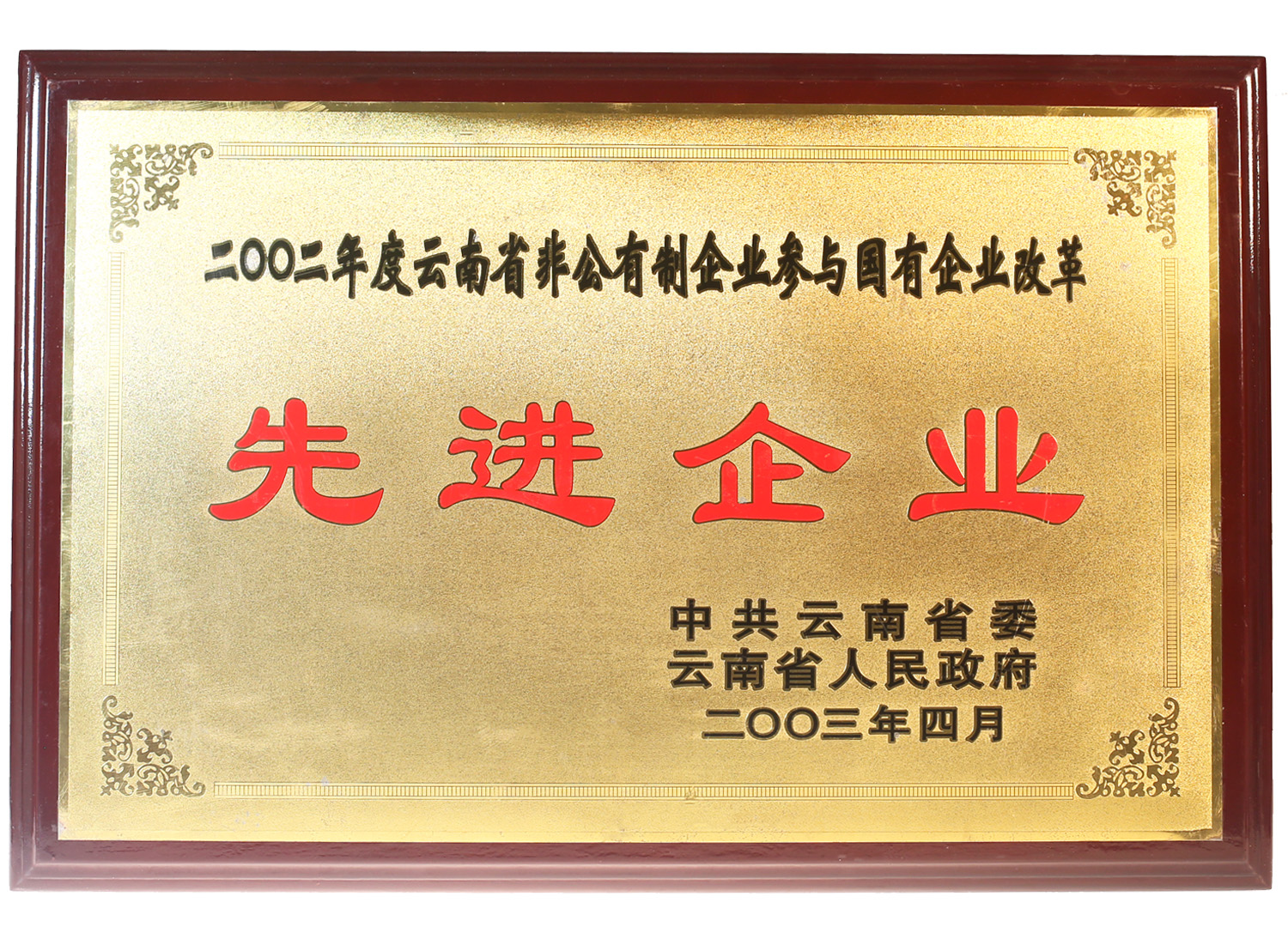 2003年被云南省政府授予“先進企業”稱號
